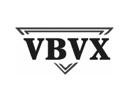 VBVX商标原图 第10类医疗器械