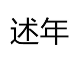 述年商标原图 第10类医疗器械