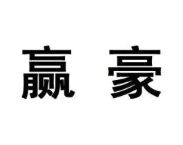 赢豪商标原图 第10类医疗器械