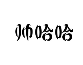 帅哈哈商标原图 第10类医疗器械
