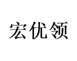 宏优领商标原图 第10类医疗器械