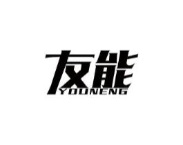 友能商标原图 第10类医疗器械