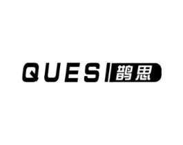 鹊思商标原图 第10类医疗器械