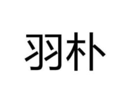 羽朴商标原图 第10类医疗器械