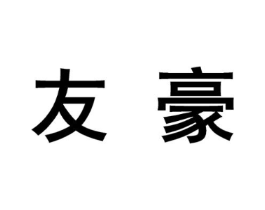 友豪商标原图 第10类医疗器械