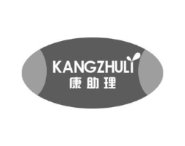 康助理商标原图 第10类医疗器械