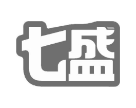 七盛商标原图 第10类医疗器械