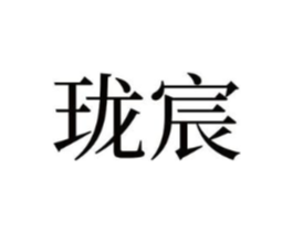 珑宸商标原图 第10类医疗器械