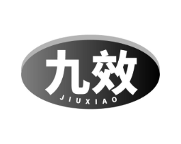 九效商标原图 第10类医疗器械