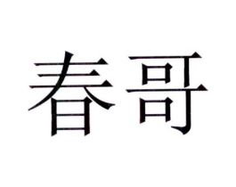 春哥商标原图 第10类医疗器械