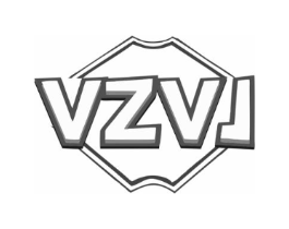 VZVJ商标原图 第10类医疗器械