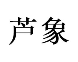 芦象商标原图 第10类医疗器械