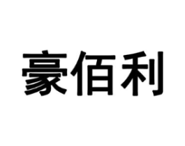 豪佰利商标原图 第10类医疗器械