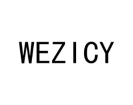 WEZICY商标原图 第10类医疗器械