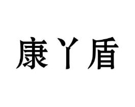 康丫盾商标原图 第10类医疗器械