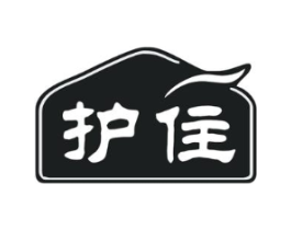 护住商标原图 第10类医疗器械