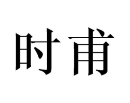 时甫商标原图 第10类医疗器械
