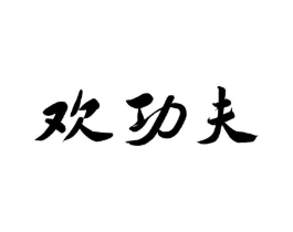 欢功夫商标原图 第10类医疗器械