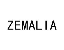 ZEMALIA商标原图 第10类医疗器械