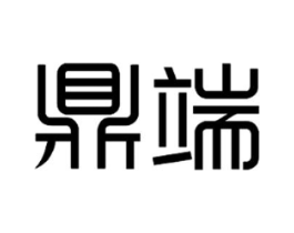 鼎端商标原图 第10类医疗器械
