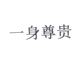 一身尊贵商标原图 第10类医疗器械