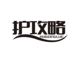 护攻略商标原图 第10类医疗器械