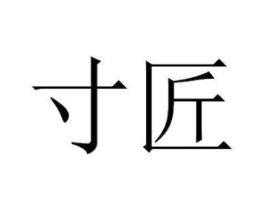 寸匠商标原图 第10类医疗器械