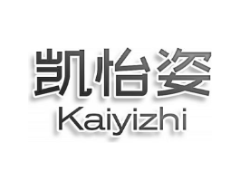 凯怡姿 KAIYIZHI商标原图 第10类医疗器械