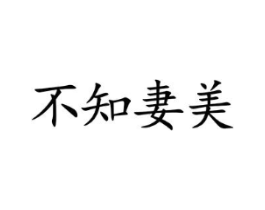 不知妻美商标原图 第10类医疗器械