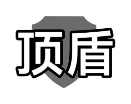 顶盾商标原图 第10类医疗器械