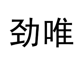 劲唯商标原图 第10类医疗器械