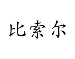 比索尔商标原图 第10类医疗器械