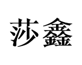 莎鑫商标原图 第10类医疗器械