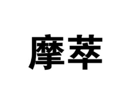 摩萃商标原图 第10类医疗器械
