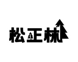 松正林商标原图 第10类医疗器械