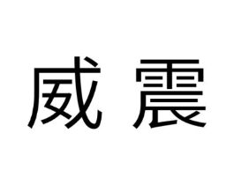 威震商标原图 第10类医疗器械