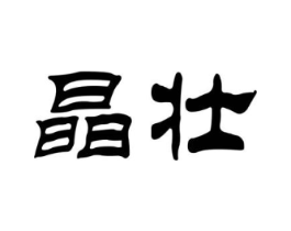 晶壮商标原图 第10类医疗器械