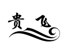 贵飞商标原图 第10类医疗器械