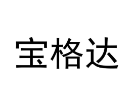 宝格达商标原图 第10类医疗器械