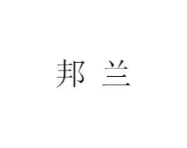 邦兰商标原图 第10类医疗器械