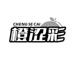 橙涩彩商标原图 第10类医疗器械