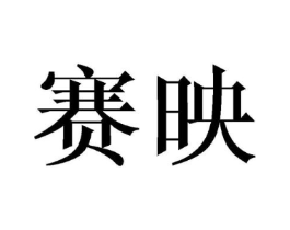 赛映商标原图 第10类医疗器械