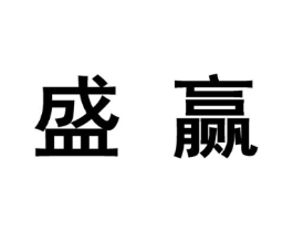 盛赢商标原图 第10类医疗器械