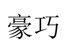 豪巧商标原图 第10类医疗器械