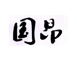 国昂商标原图 第10类医疗器械