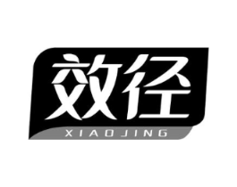 效径商标原图 第10类医疗器械