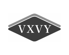 VXVY商标原图 第10类医疗器械