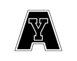 AY商标原图 第10类医疗器械