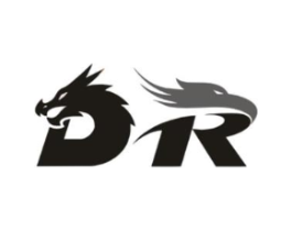 DR商标原图 第10类医疗器械