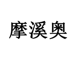 摩溪奥商标原图 第10类医疗器械